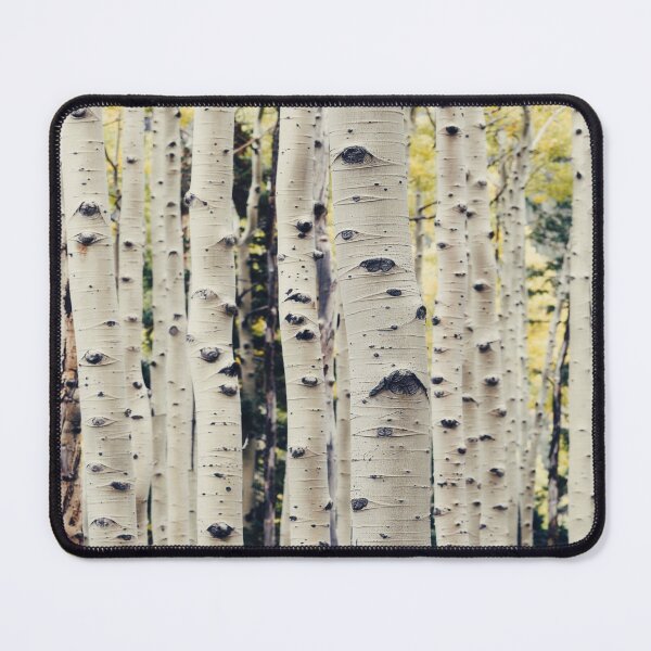 Item preview,  Enchanting Autumn Birch Trees Forest Landscape designed and sold by Simi2020.