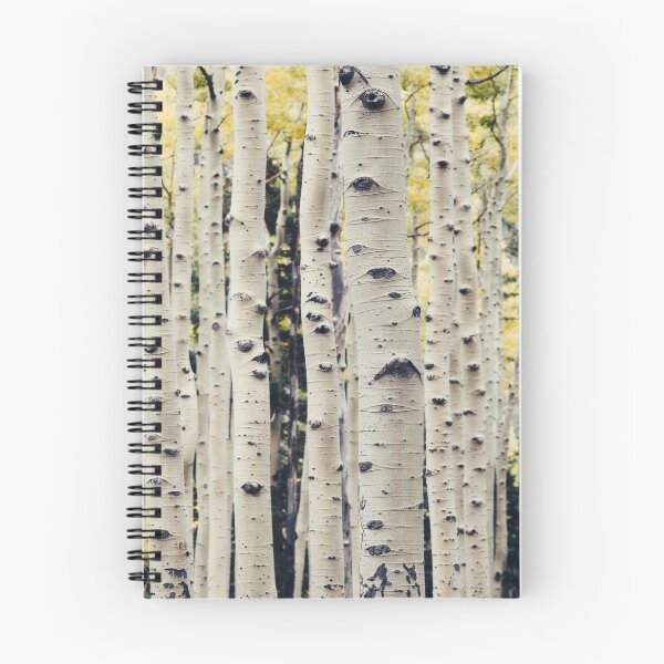 Item preview,  Enchanting Autumn Birch Trees Forest Landscape designed and sold by Simi2020.