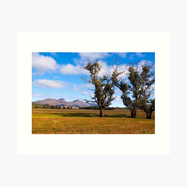Item preview, View towards Wilpena Pound, South Australia. (Study #5) designed and sold by johnrf.