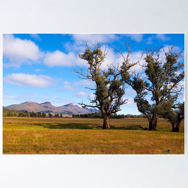 Item preview, View towards Wilpena Pound, South Australia. (Study #5) designed and sold by johnrf.
