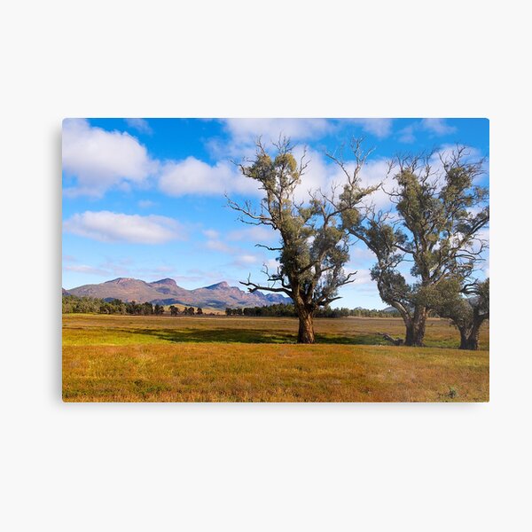 Item preview, View towards Wilpena Pound, South Australia. (Study #5) designed and sold by johnrf.