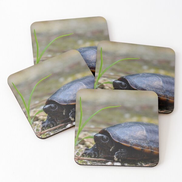 Item preview, Southeastern Mud Turtle Print designed and sold by Paul-Prints.