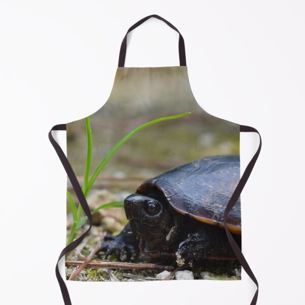 Item preview, Southeastern Mud Turtle Print designed and sold by Paul-Prints.