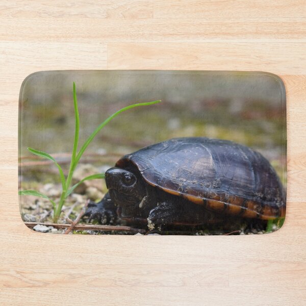 Item preview, Southeastern Mud Turtle Print designed and sold by Paul-Prints.
