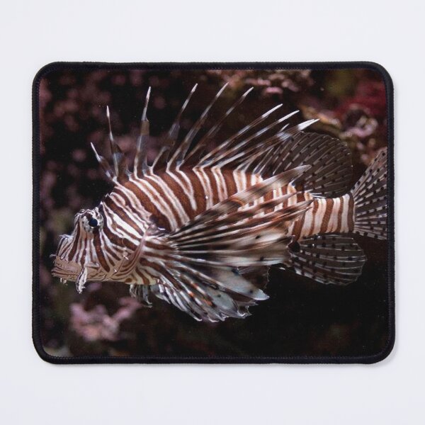Item preview, Lionfish designed and sold by SpectreSparkC.