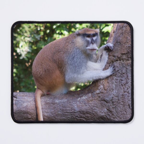 Item preview, Patas Monkey designed and sold by SpectreSparkC.