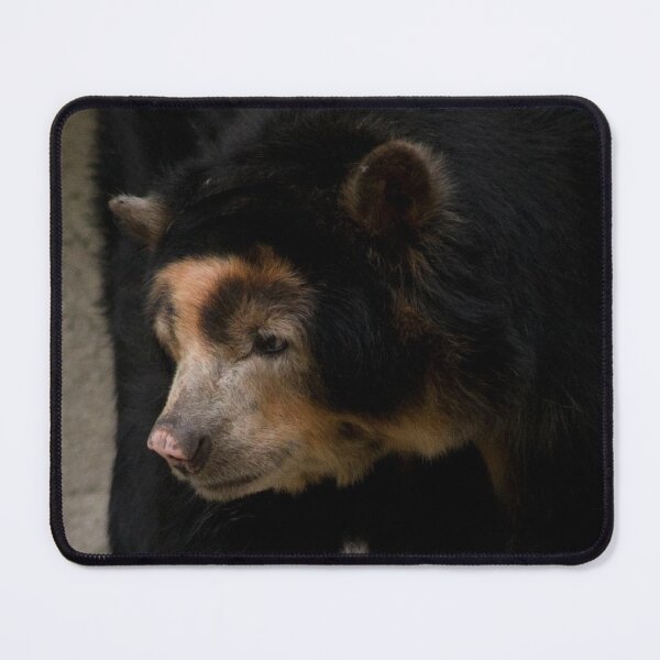 Item preview, Spectacled Bear designed and sold by SpectreSparkC.