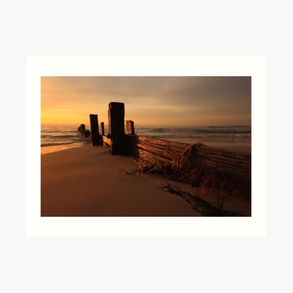 Balnarring Beach Groyne Sunrise Art Print