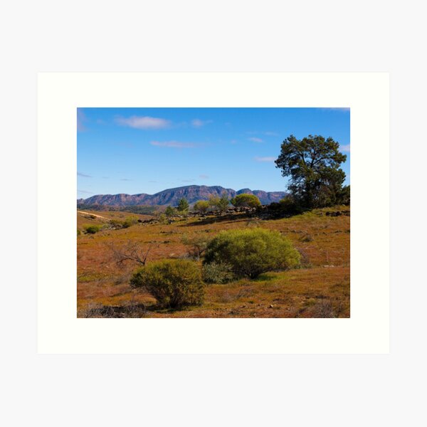 Item preview, View towards Wilpena Pound, Flinders Ranges, South Australia. (Study #6) designed and sold by johnrf.