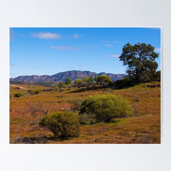 Item preview, View towards Wilpena Pound, Flinders Ranges, South Australia. (Study #6) designed and sold by johnrf.