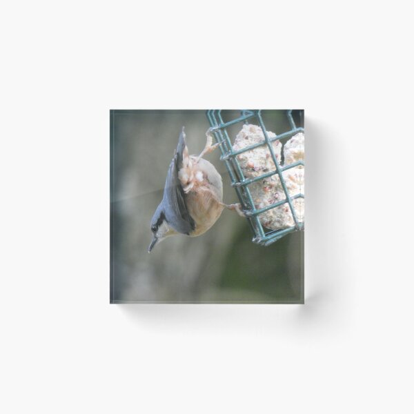 Item preview, bird designed and sold by KathleenDawson.
