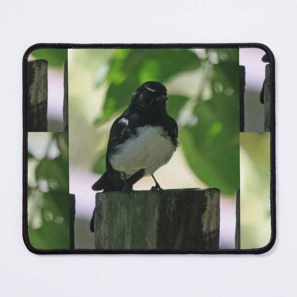 Item preview, Willy Wagtail designed and sold by STHogan.