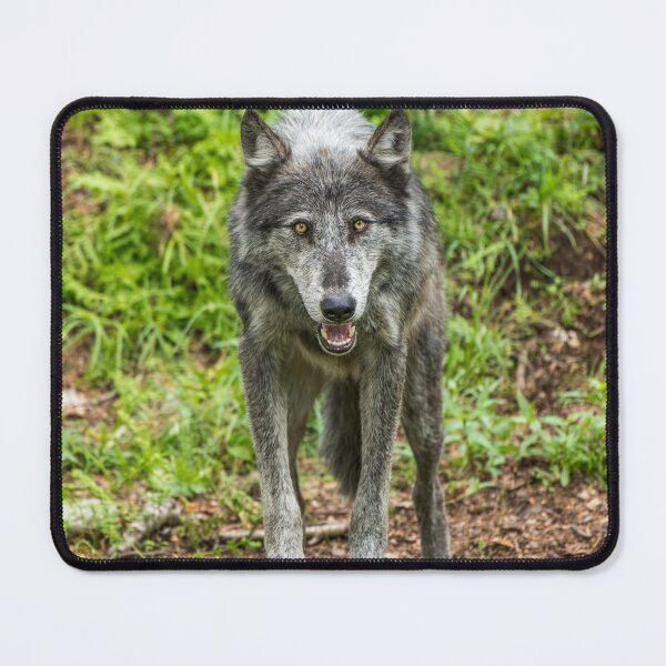 Item preview, Called To Order designed and sold by WolvesOnly.