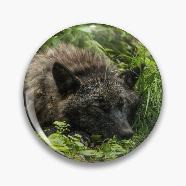 Item preview, Taking A Nap. designed and sold by WolvesOnly.