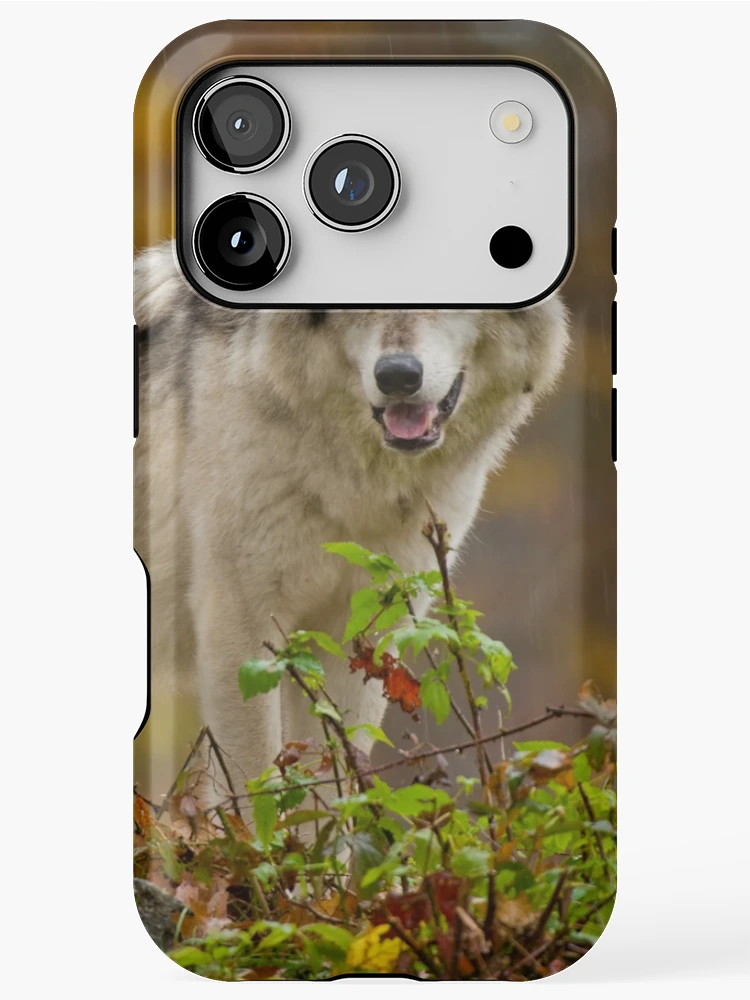 Thumbnail 1 of 4, iPhone Case, Timber Wolves designed and sold by WolvesOnly.