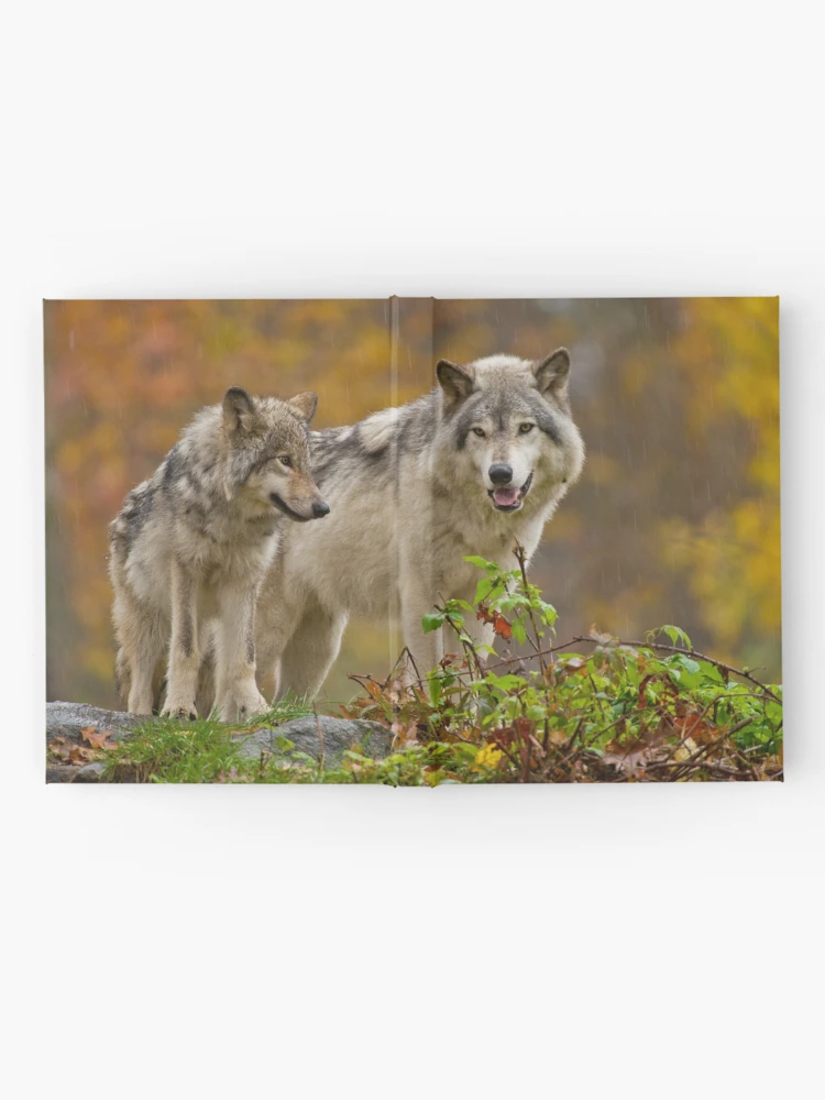 Thumbnail 2 of 3, Journal, Timber Wolves designed and sold by WolvesOnly.