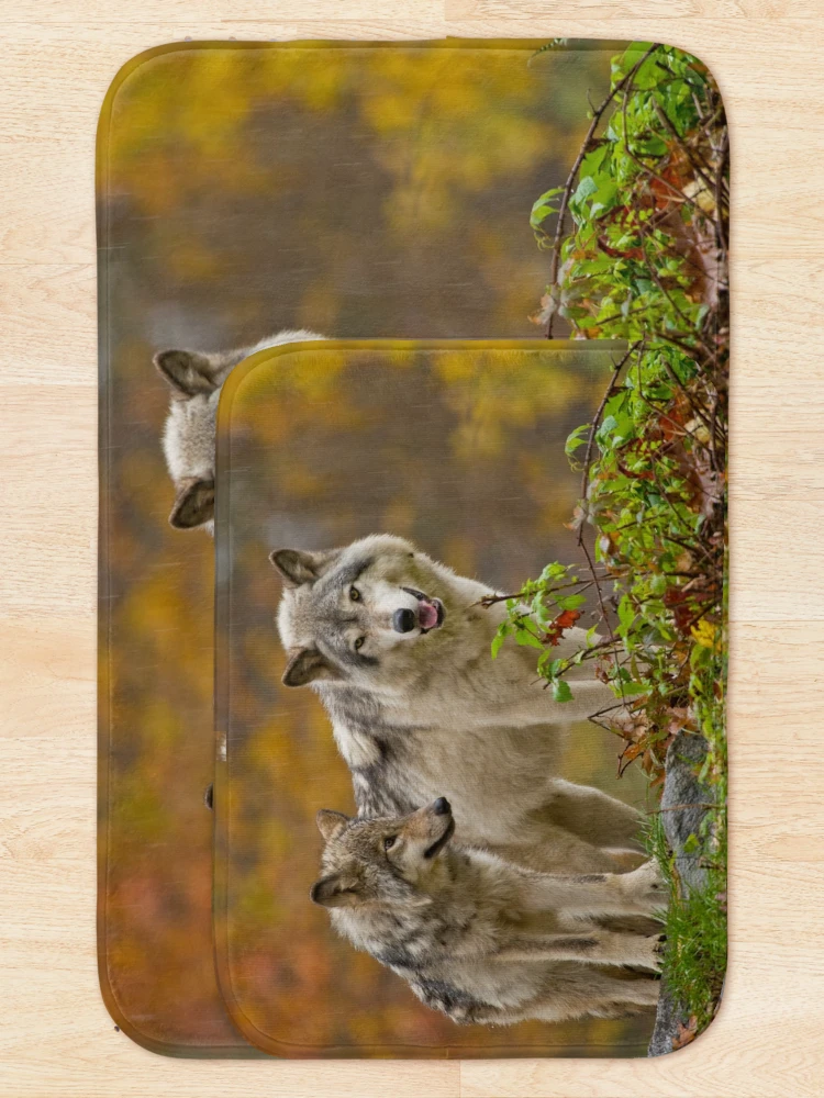 Thumbnail 5 of 6, Bath Mat, Timber Wolves designed and sold by WolvesOnly.