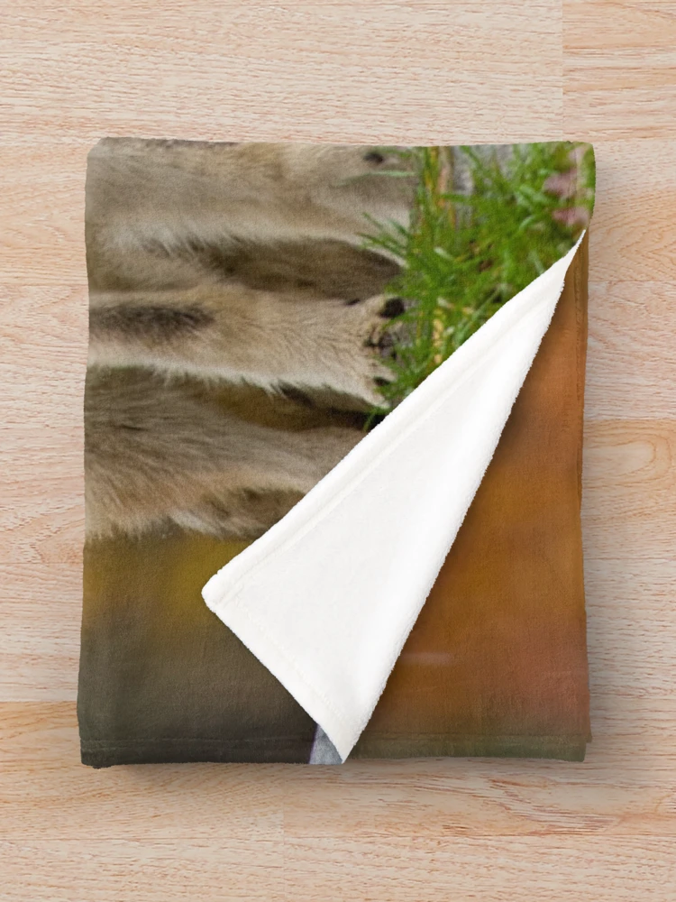 Thumbnail 3 of 6, Throw Blanket, Timber Wolves designed and sold by WolvesOnly.