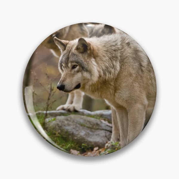 Artikelvorschau, Timber Wölfe entworfen und verkauft von WolvesOnly.