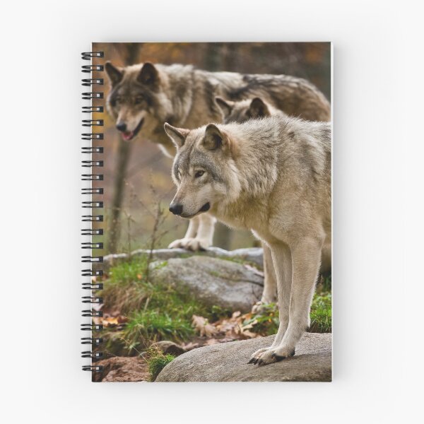 Item preview, Timber Wolves designed and sold by WolvesOnly.