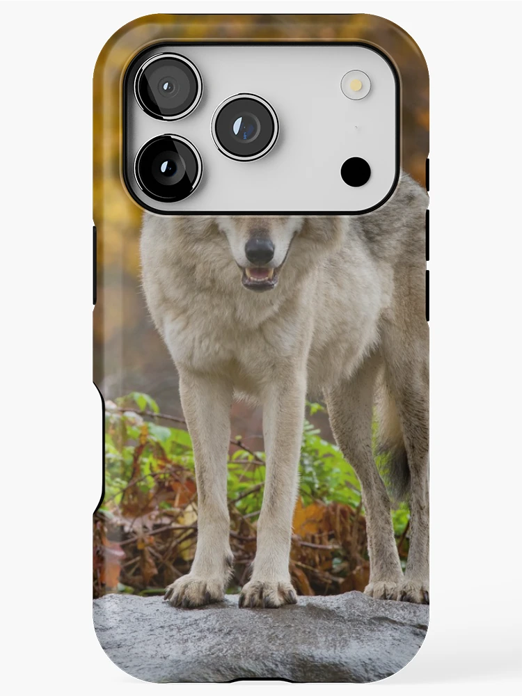 Thumbnail 1 of 4, iPhone Case, Timber Wolves designed and sold by WolvesOnly.