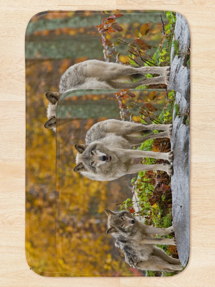 Thumbnail 5 of 6, Bath Mat, Timber Wolves designed and sold by WolvesOnly.