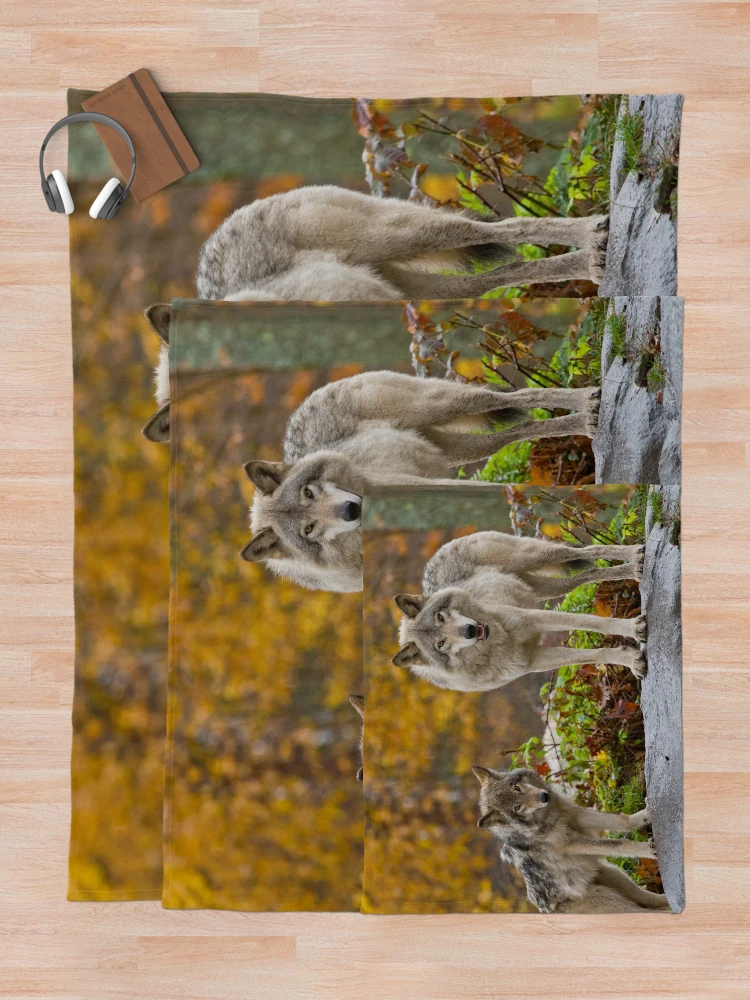 Thumbnail 5 of 6, Throw Blanket, Timber Wolves designed and sold by WolvesOnly.