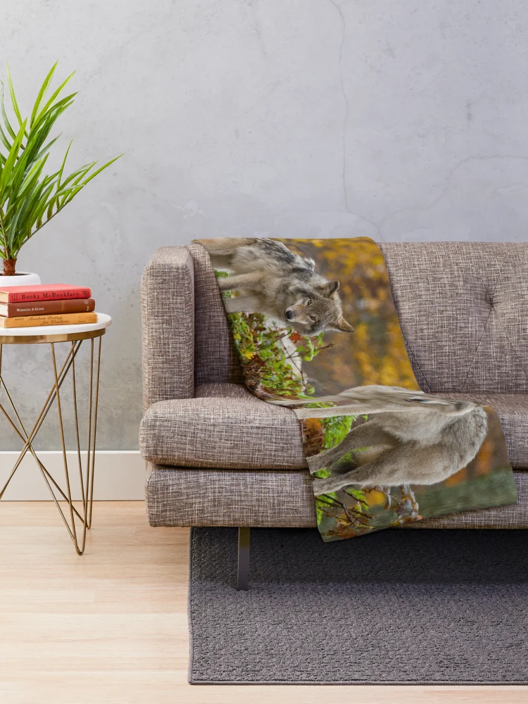 Thumbnail 2 of 6, Throw Blanket, Timber Wolves designed and sold by WolvesOnly.