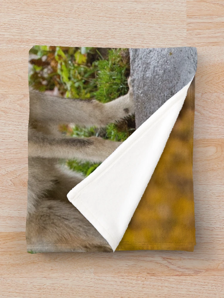 Thumbnail 3 of 6, Throw Blanket, Timber Wolves designed and sold by WolvesOnly.
