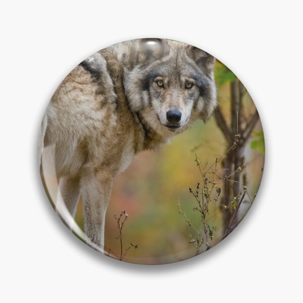 Item preview, Timber Wolf designed and sold by WolvesOnly.