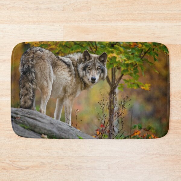 Item preview, Timber Wolf designed and sold by WolvesOnly.