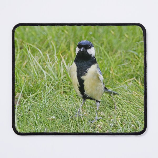 Item preview, r889/ New finition 2021:  " Les Oiseaux de mon Jardin "   Okaio Créations Olavia-Olao designed and sold by o.okaïo.