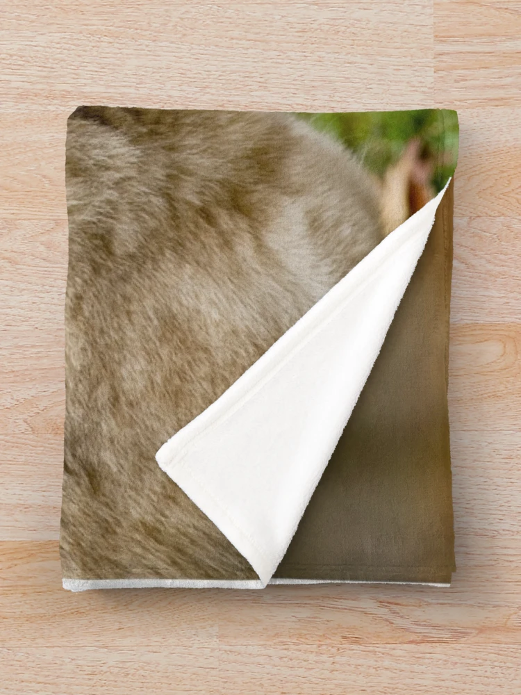 Thumbnail 3 of 6, Throw Blanket, Timber Wolves designed and sold by WolvesOnly.