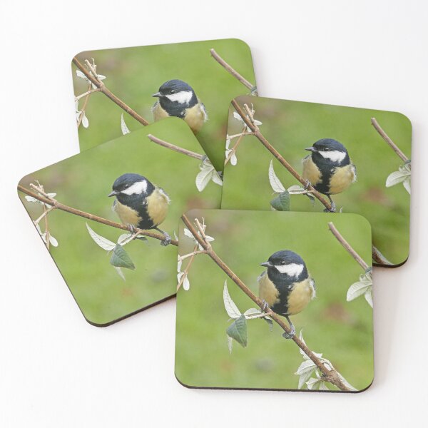 Item preview, r887/ New finition 2021:  " Les Oiseaux de mon Jardin "   Okaio Créations Olavia-Olao designed and sold by o.okaïo.