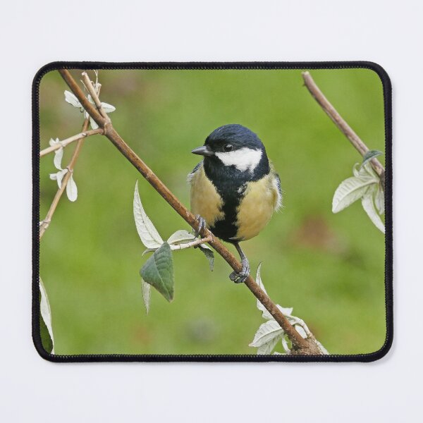Item preview, r887/ New finition 2021:  " Les Oiseaux de mon Jardin "   Okaio Créations Olavia-Olao designed and sold by o.okaïo.