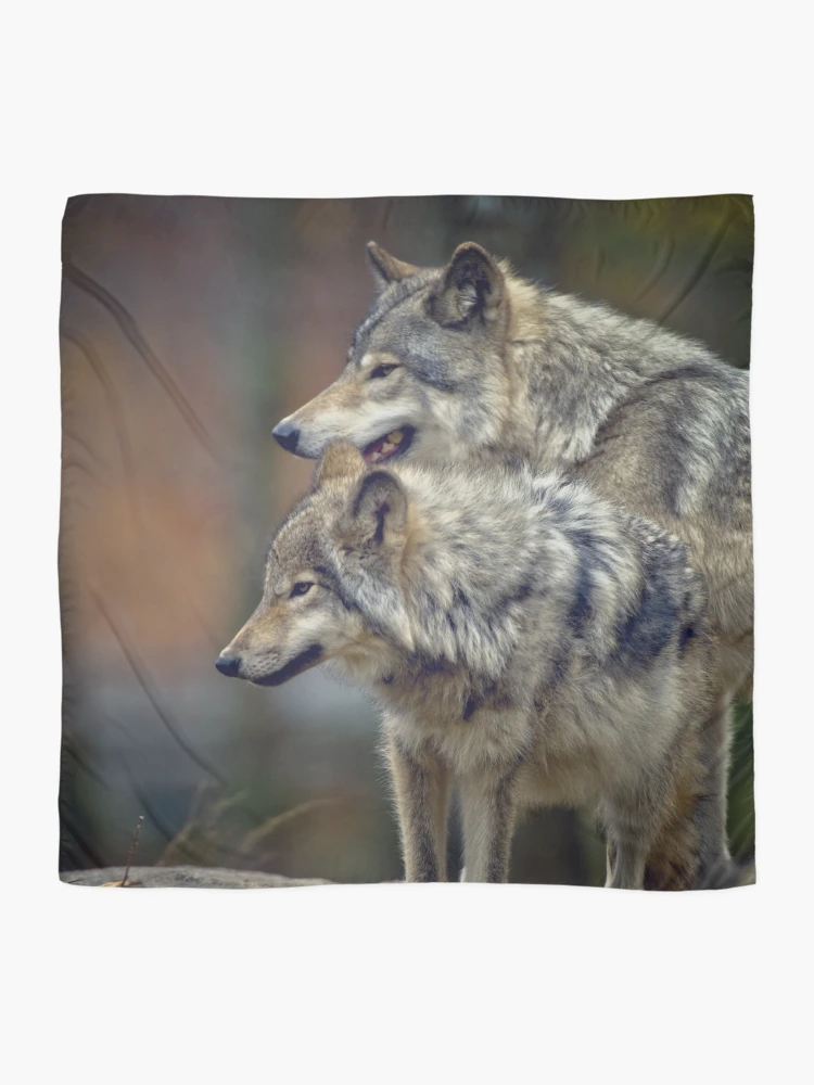 Thumbnail 2 of 3, Scarf, Timber Wolves designed and sold by WolvesOnly.