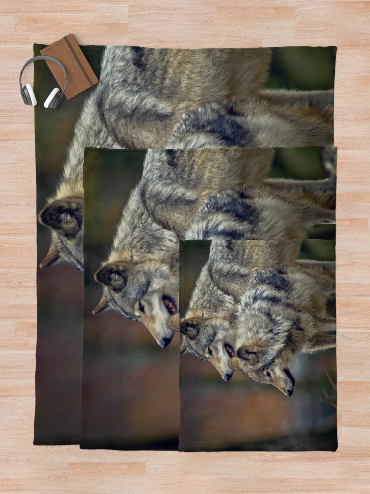 Thumbnail 5 of 6, Throw Blanket, Timber Wolves designed and sold by WolvesOnly.