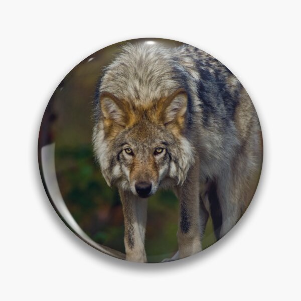 Artikelvorschau, Timber Wolf entworfen und verkauft von WolvesOnly.