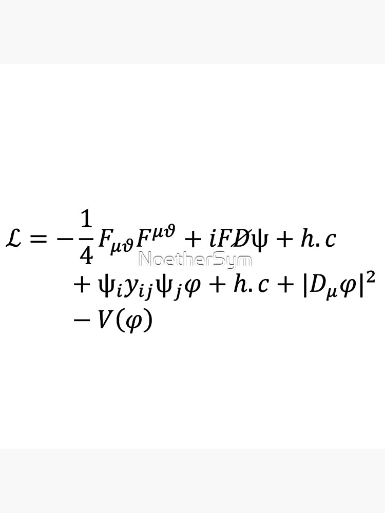 Standard Model Lagrangian, Lagrangian Of The Universe Premium Matte ...