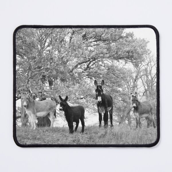 Item preview, Donkey on Tour by Paintpictures designed and sold by Pioooh.