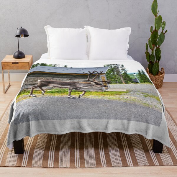 Item preview,  reindeer photo with high resolution quality designed and sold by Allyouneed-2.