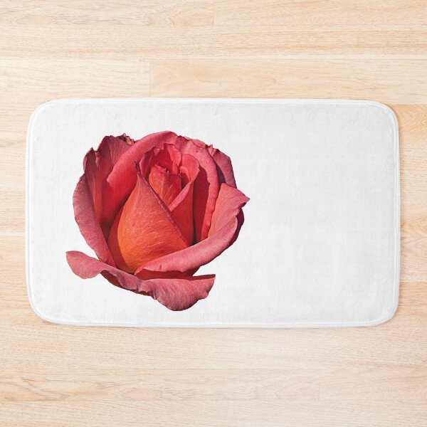 Artikelvorschau, Eine einzelne rosa Rose entworfen und verkauft von habilephoto.