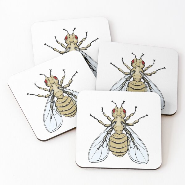 Item preview, Drosophila melanogaster - bar eye mutation designed and sold by modry-animag.