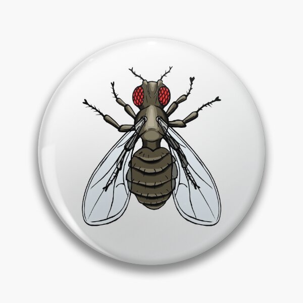 Item preview, Drosophila melanogaster - ebony designed and sold by modry-animag.