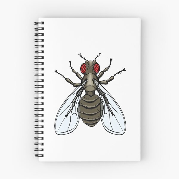 Item preview, Drosophila melanogaster - ebony designed and sold by modry-animag.