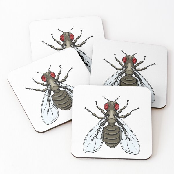 Item preview, Drosophila melanogaster - ebony designed and sold by modry-animag.