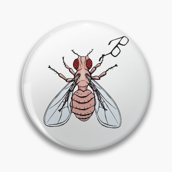 Item preview, Drosophila melanogaster - pink nerd designed and sold by modry-animag.