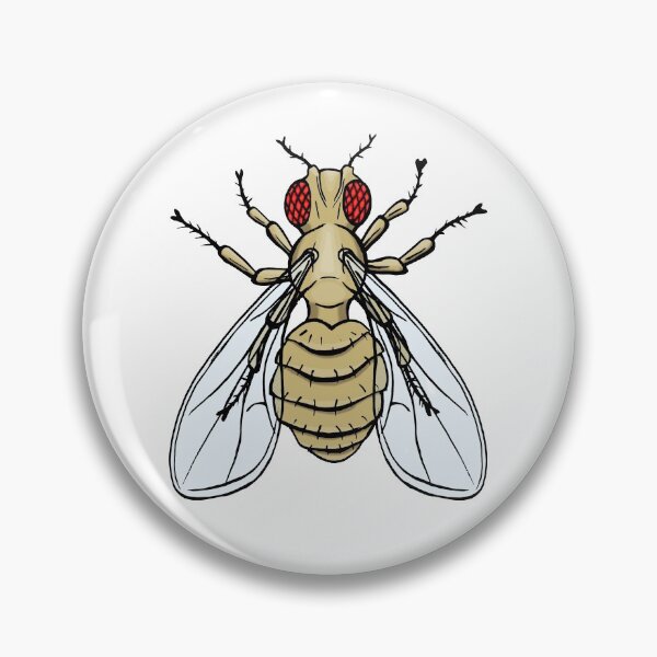 Item preview, Drosophila melanogaster - Wild type designed and sold by modry-animag.