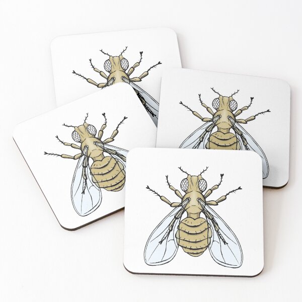 Item preview, Drosophila melanogaster -Whiter eye mutation designed and sold by modry-animag.