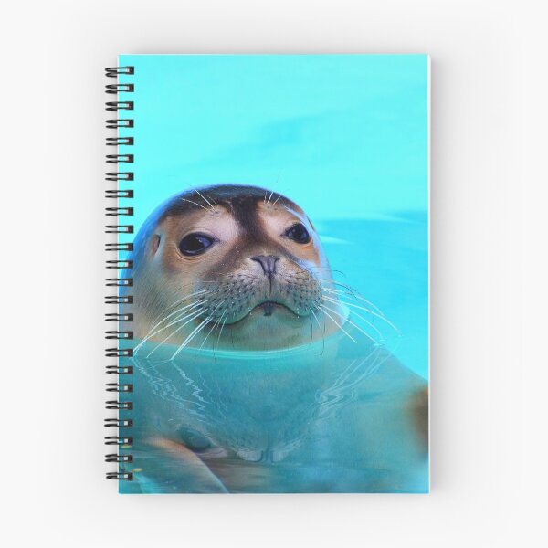 Item preview, seal photo with high resolution quality designed and sold by Allyouneed-2.